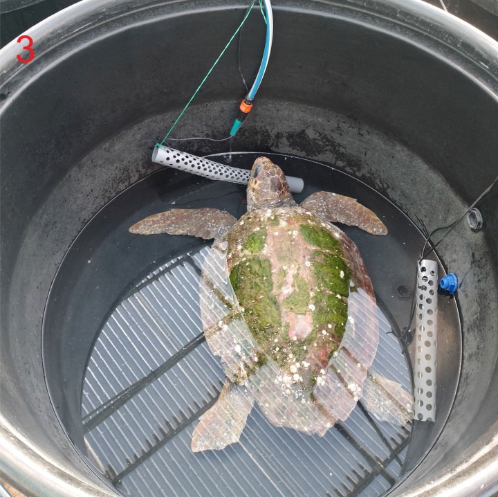 Εκκίνηση ανάρρωσης στον 