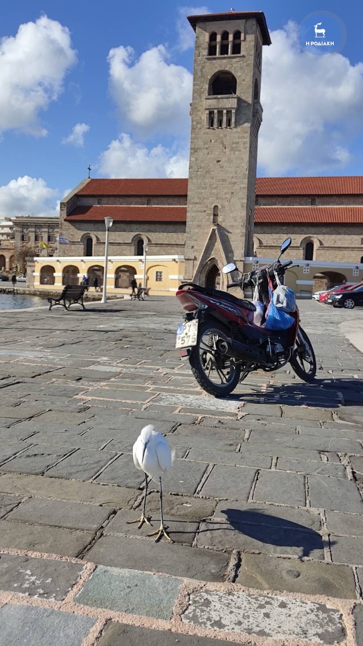 ΦΩΤΟ ΑΛΕΞ. ΛΥΚΟΠΑΝΤΗΣ