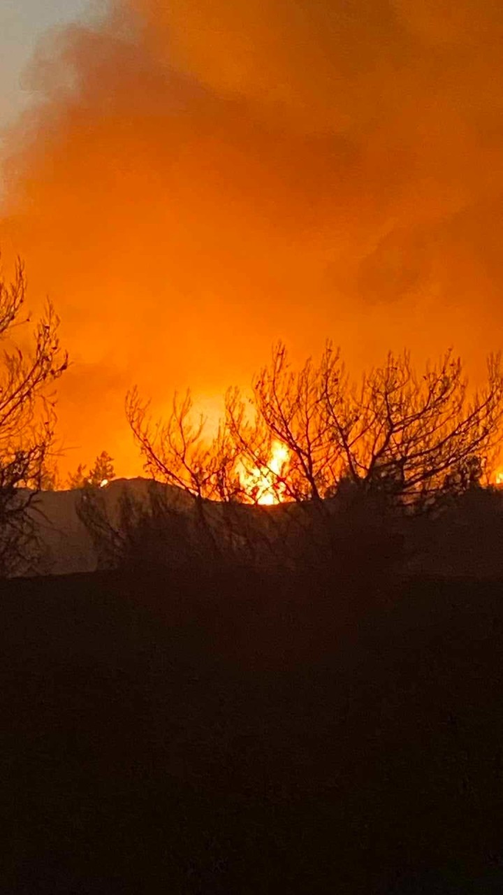 Μιχάλης Δράκος