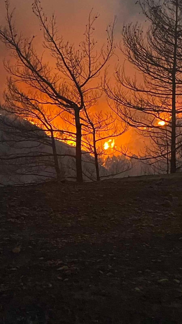 Μιχάλης Δράκος