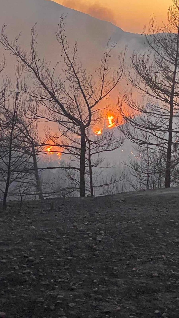 Μιχάλης Δράκος