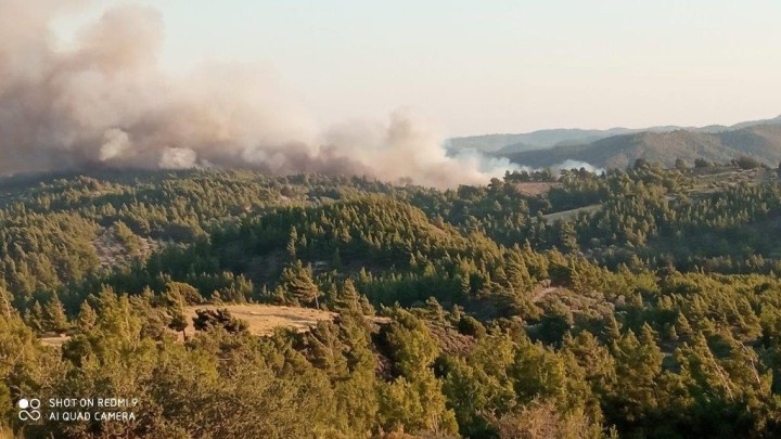 Πηγή: Σάββας Πίσσας
