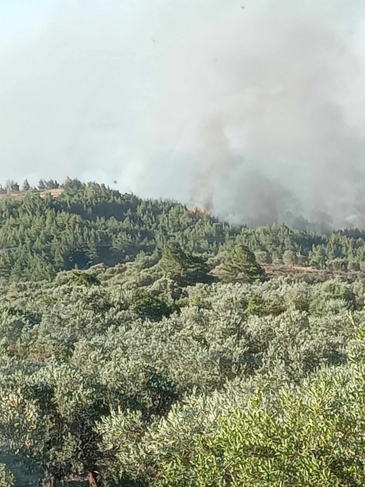 Εθελοντική Ομάδα Αντιμετώπισης Καταστροφών Σαλάκου