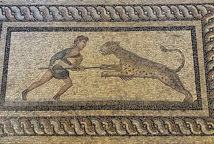 ΙΦΙΓΕΝΕΙΑ ΠΛΕΥΡΑΚΗ Ψηφιδωτό με κυνήγι λεοπάρδαλης Σύνθεση αποτελούμενη από τρία διά ώρα. Στο κεντρικό απεικονίζεται σκηνή κυνηγιού λεοπάρδαλης, ενώ τα πλευρικά διακοσμούνται με φύλλα κισσού. Η παράσταση του κυνηγιού περιβάλλεται από πλοχμοειδές κόσμημα. Χρονολογείται μεταξύ το Β΄μισό του 3ου αιώνα μ. Χ.