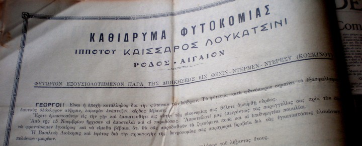 Διαφημιστικό Δελτίο του Αγροκτήματος Λουκατσίνι