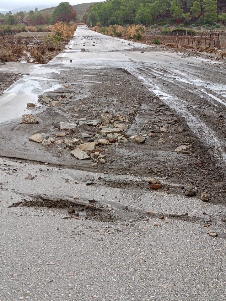 Λάερμα, Φώτο: Τάσος Πατούνας