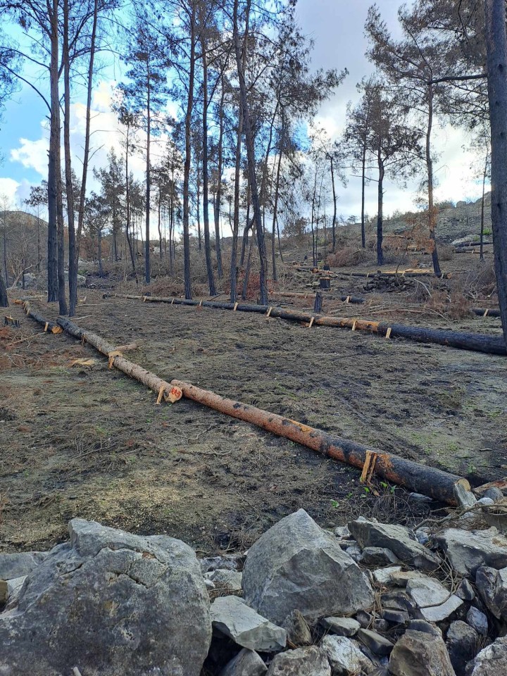 Τα έργα του Αγίου Ζαχαρία που χρηματοδότησε η Eurobank