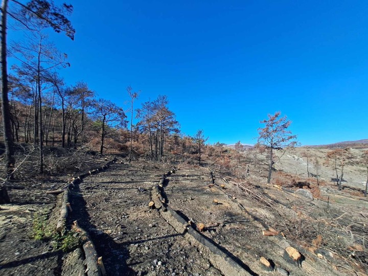 Τα έργα του Αγίου Ζαχαρία που χρηματοδότησε η Eurobank