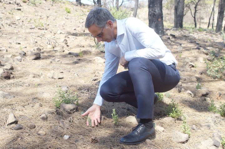 Ο Παναγιώτης Γεωργιόπουλος, Διευθύνων Σύμβουλος της Nova, κατά την επίβλεψη της παράδοσης του έργου αποκατάστασης πυρόπληκτων περιοχών στη Ρόδο