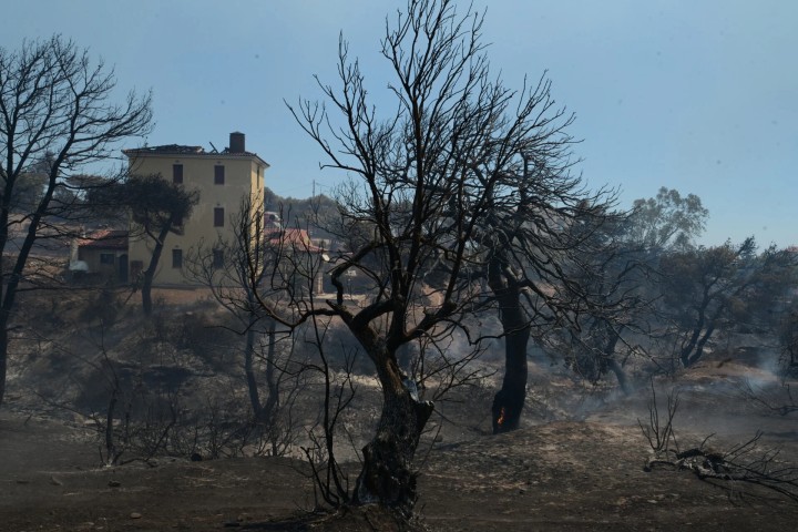 (ΤΑΤΙΑΝΑ ΜΠΟΛΑΡΗ / EUROKINISSI)